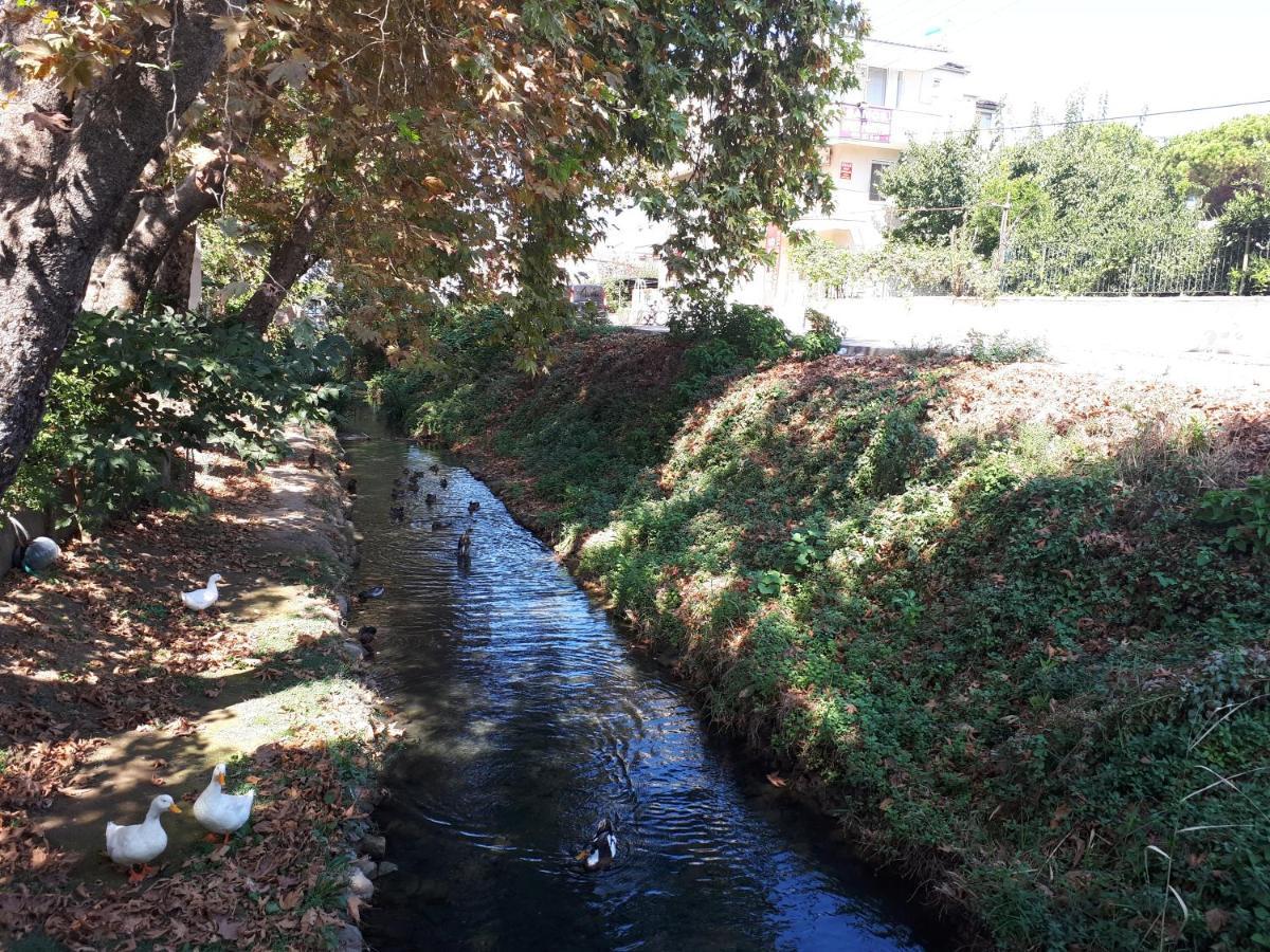 Samos Apart Pension Guzelcamlı Exteriör bild