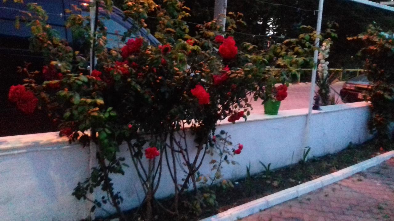 Samos Apart Pension Guzelcamlı Exteriör bild