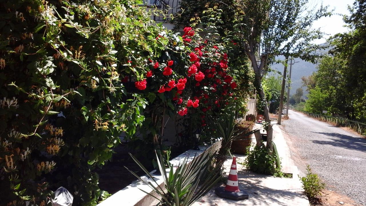 Samos Apart Pension Guzelcamlı Exteriör bild